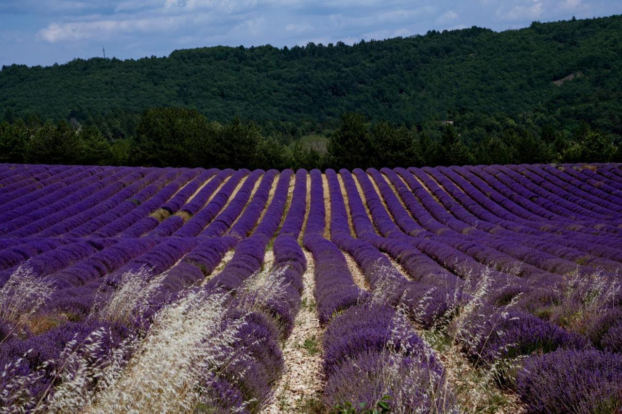 Gite La Bastide De La Loge Au Pied Du Mont Ventoux Со-де-Воклюз Экстерьер фото
